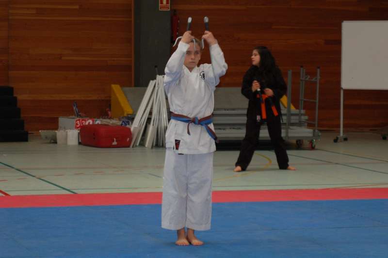 Tres Medallas en el Campeonato de España de Kenpo